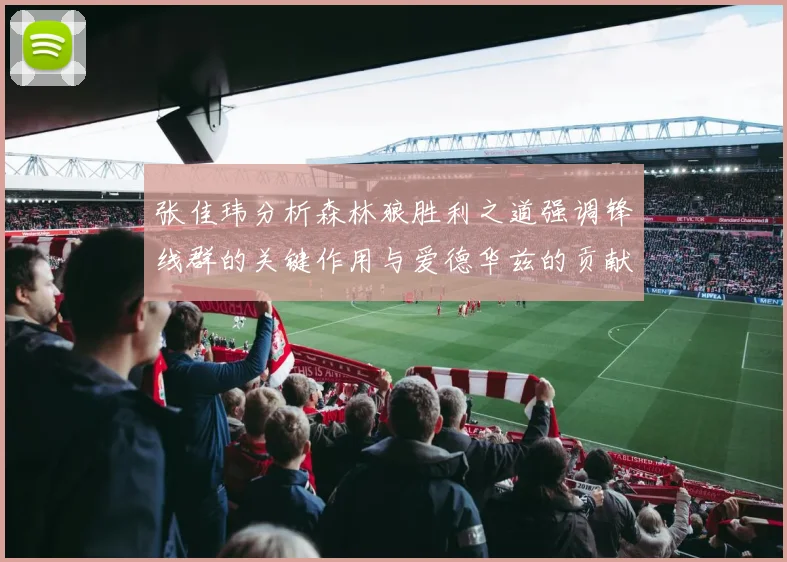 张佳玮分析森林狼胜利之道强调锋线群的关键作用与爱德华兹的贡献