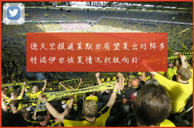 德天空报道莱默尔有望复出对阵多特诺伊尔恢复情况积极向好