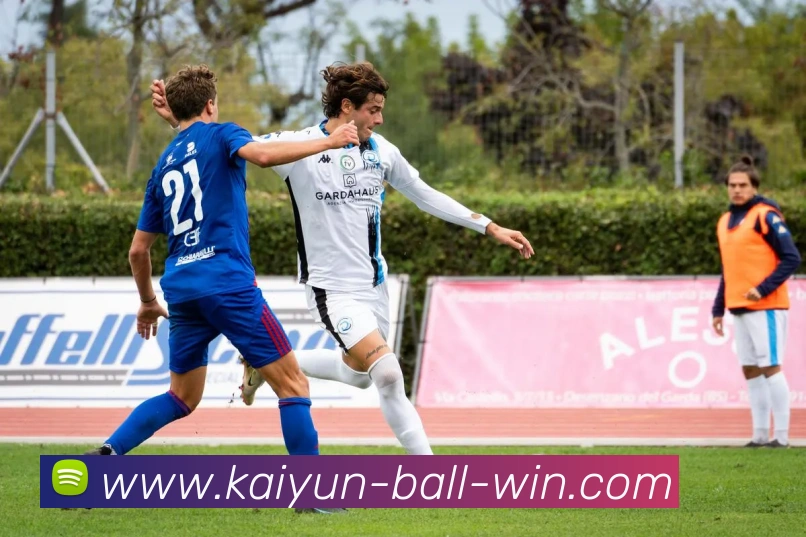 开云足球平台生态图