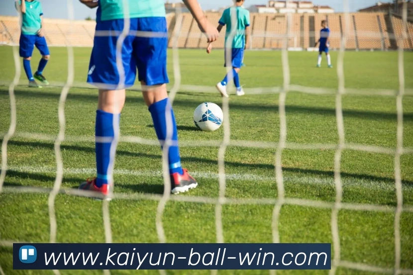 开云足球APP 封面图